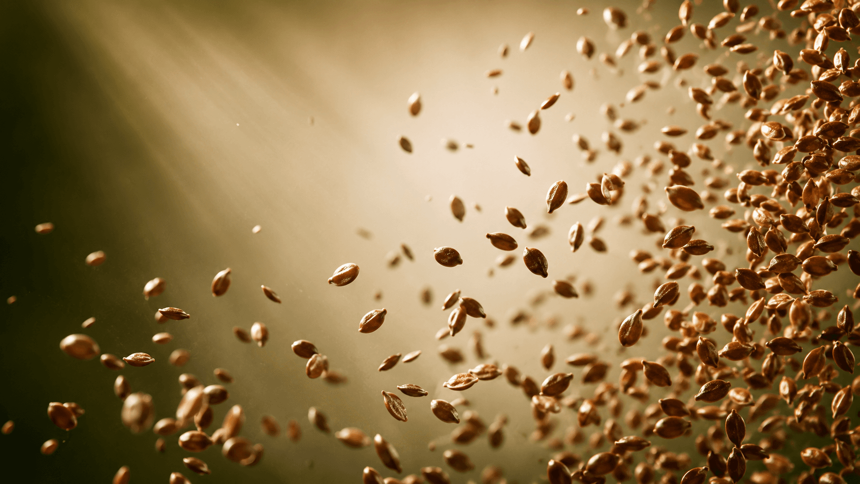Roasted flaxseed, macro texture — the crunch