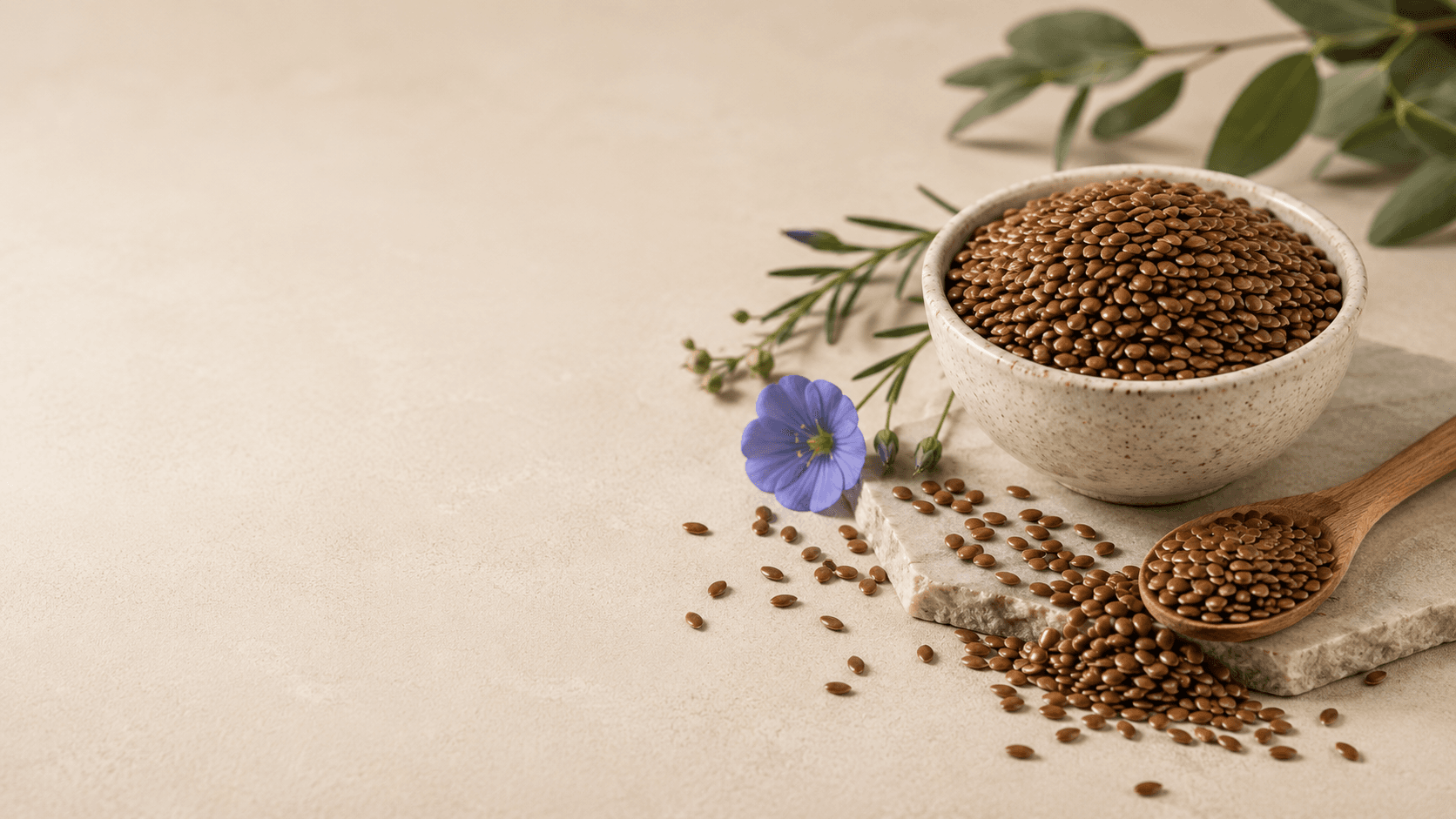 Flaxtore nutrition — plant-based Omega-3, fibre and protein